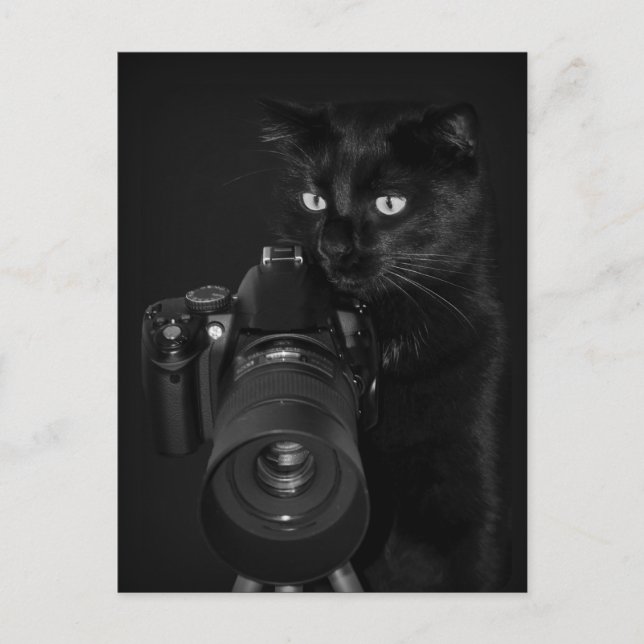 Der Fotograf - Postkarte (Vorderseite)