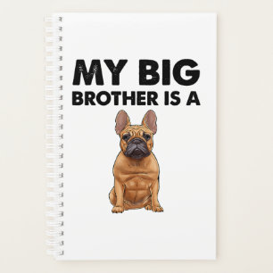 Der französische Bulldog, mein großer Bruder, ist Planer