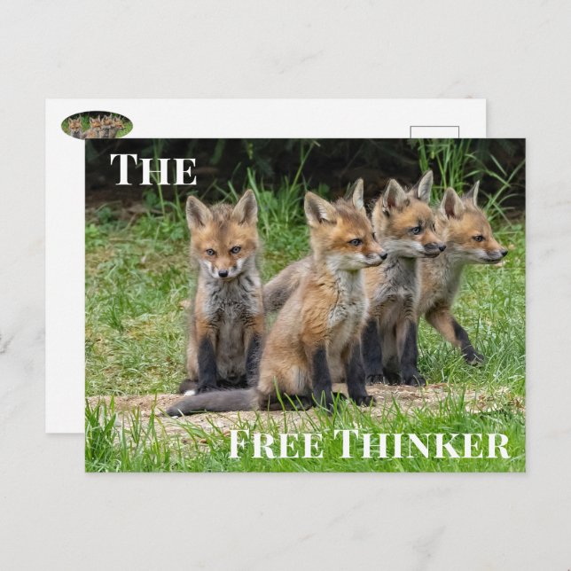 Der freie Denkfuchs Postkarte (Vorne/Hinten)