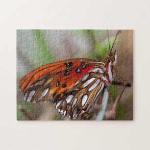 Der fritilische oder leidenschaftliche Schmetterli