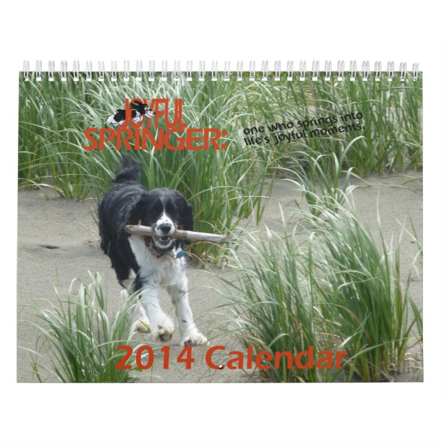 Der frohe Kalender des Springer-2014 (Titelbild)