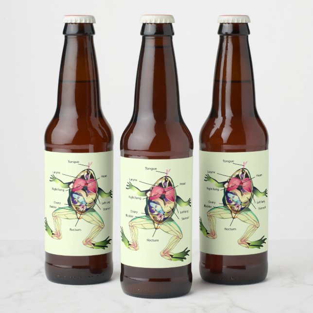 Der Frosch ist grün Bierflaschenetikett (Flaschen)