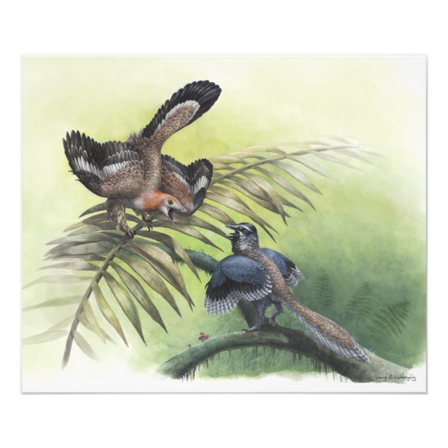 Der früheste Vogel Fotodruck (Vorne)