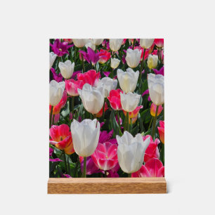 Der Frühling blüht auf Acrylschild