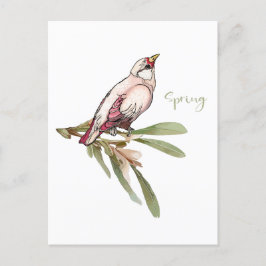 Der Frühling blüht Vögel. Schneeverfahren. Feiertagspostkarte