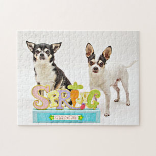 Der Frühling Chihuahuas