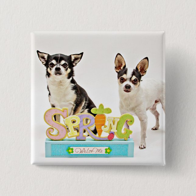 Der Frühling Chihuahuas Button (Vorderseite)