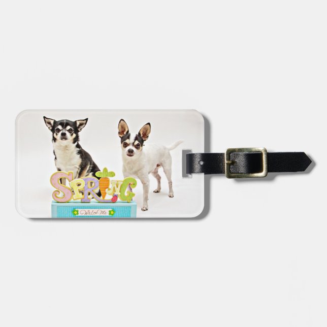 Der Frühling Chihuahuas Gepäckanhänger (Vorderseite horizontal)