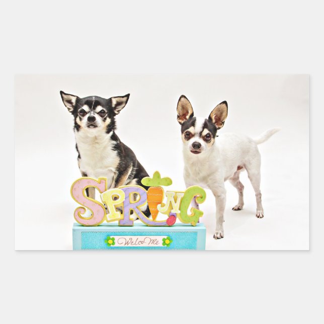 Der Frühling Chihuahuas Rechteckiger Aufkleber (Vorderseite)