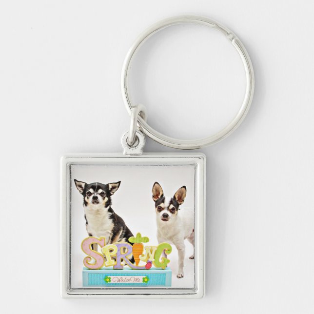 Der Frühling Chihuahuas Schlüsselanhänger (Vorne)