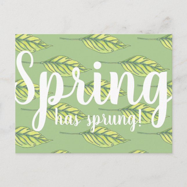 Der Frühling hat grüne Blätter gesprungen Postkarte (Vorderseite)