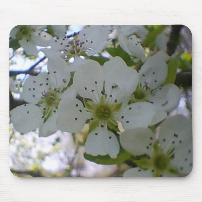 Der Frühling im Blut Mousepad (Vorne)