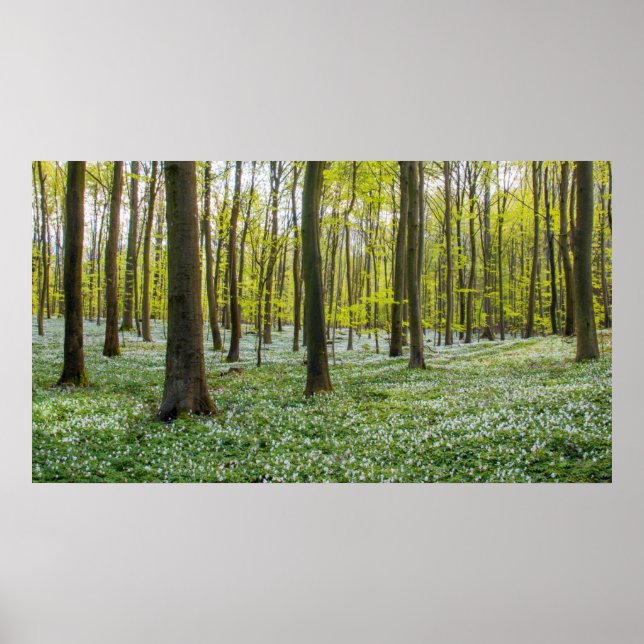 Der Frühling im Leben Poster (Vorne)