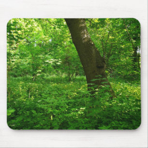 Der Frühling im Wald Mousepad