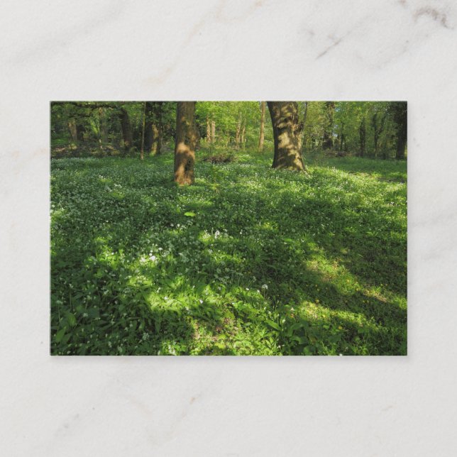 Der Frühling im Wald Visitenkarte (Vorderseite)