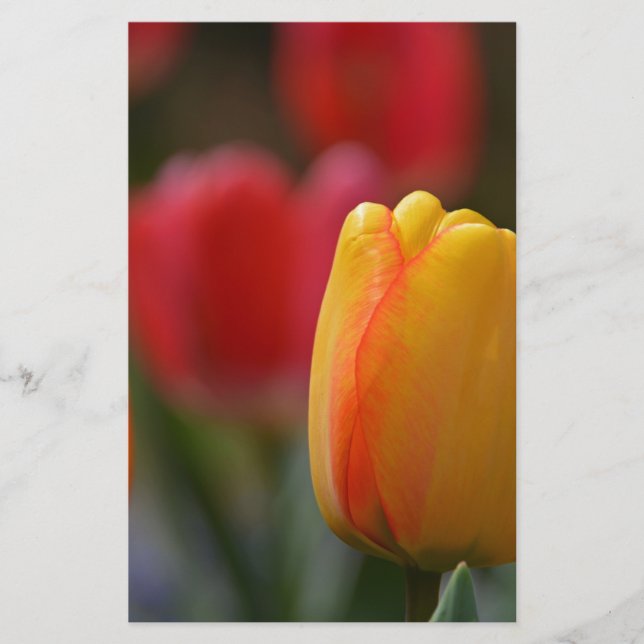 Der Frühling in Farben Briefpapier (Vorderseite)