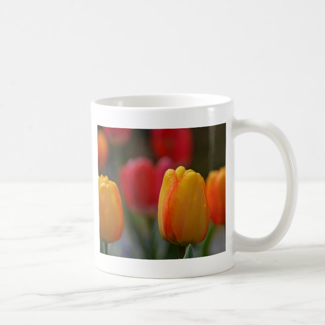 Der Frühling in Farben Kaffeetasse (Rechts)