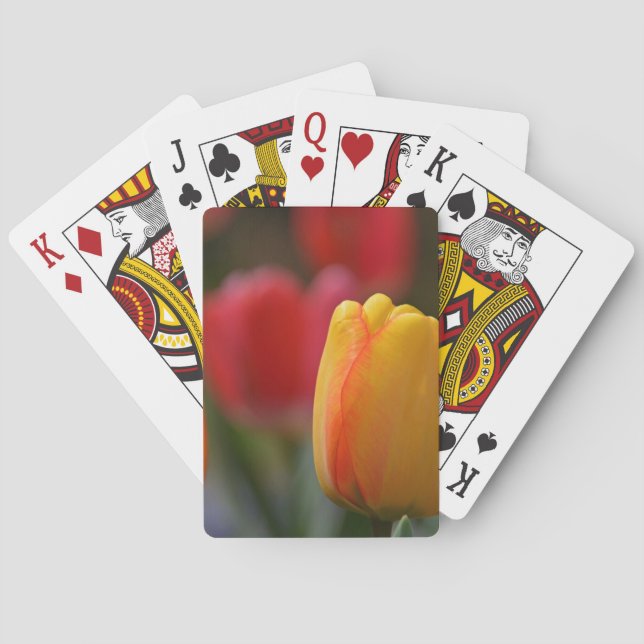 Der Frühling in Farben Spielkarten (Rückseite)