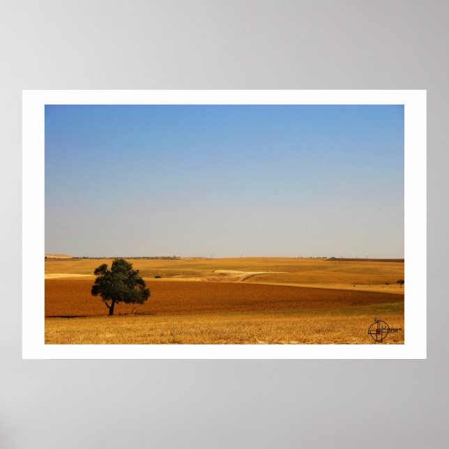 Der Frühling in Negev Poster (Vorne)