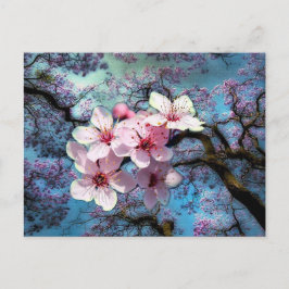 Der Frühling ist angekommen Postkarte