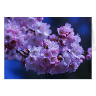 Der Frühling ist da!