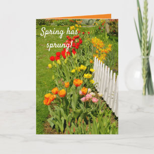 Der Frühling ist gegangen, der hübsche Frühlingsga Karte