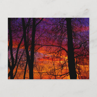 Der Frühling ist gleich um die Ecke Postkarte
