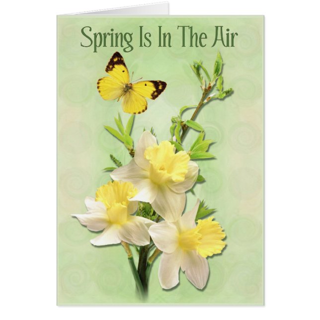 Der Frühling ist in der Luft (Vorne)