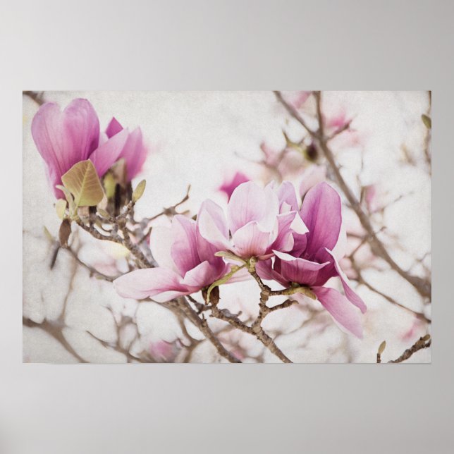 Der Frühling ist in der Luft Poster (Vorne)