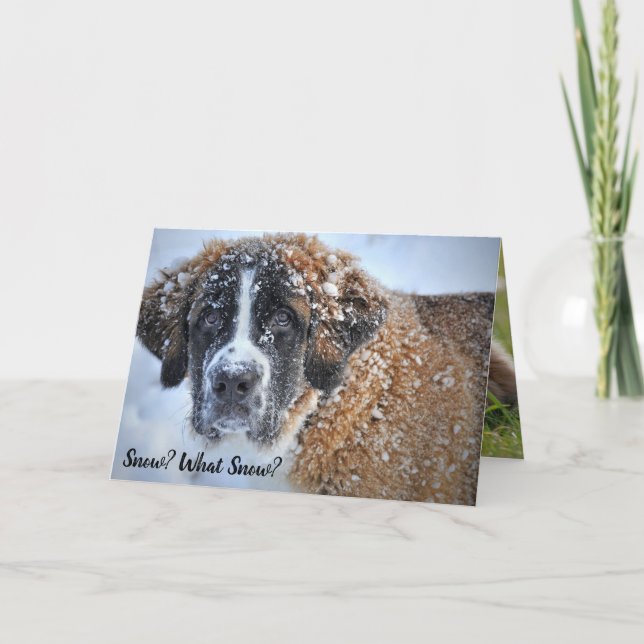 Der Frühling kommt im Niedlichen St. Bernard Bunny Karte (Vorderseite)