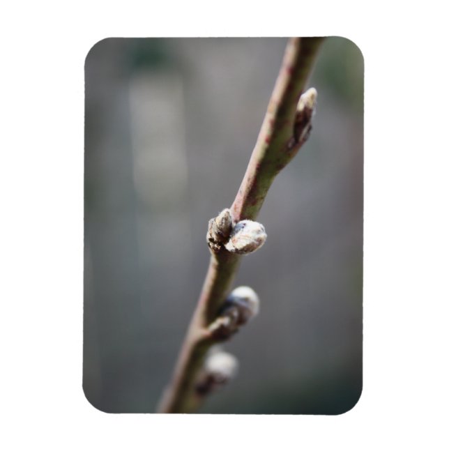Der Frühling kommt Magnet (Vertikal)