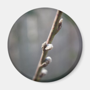 Der Frühling kommt Magnet