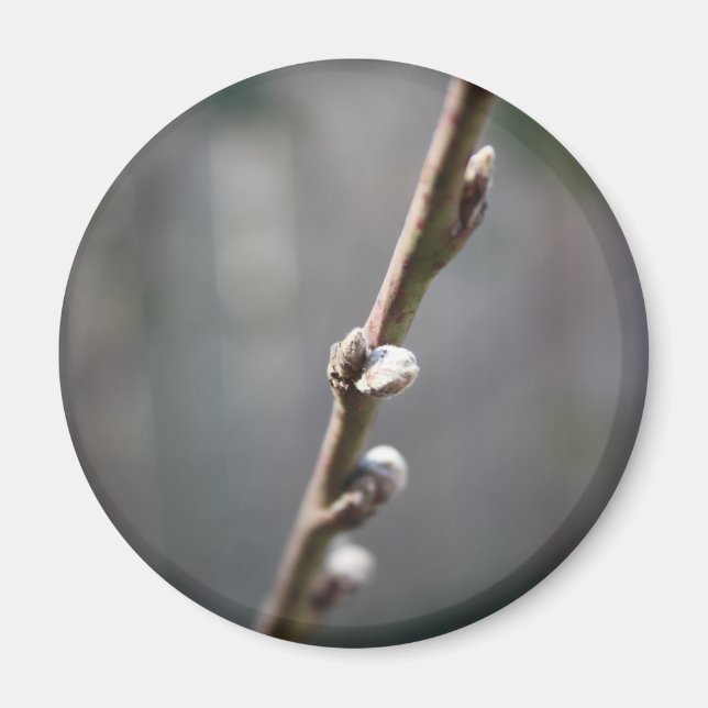 Der Frühling kommt Magnet (Vorne)