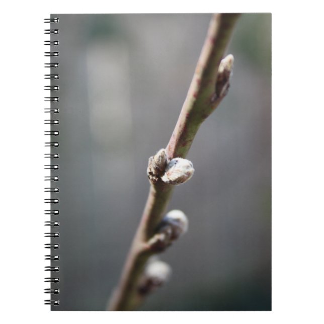 Der Frühling kommt Notizblock (Vorderseite)