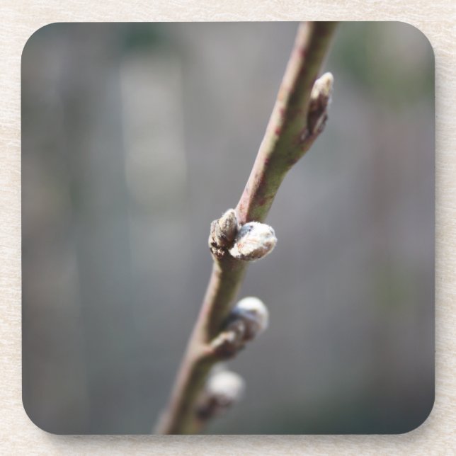Der Frühling kommt Untersetzer (Vorderseite)