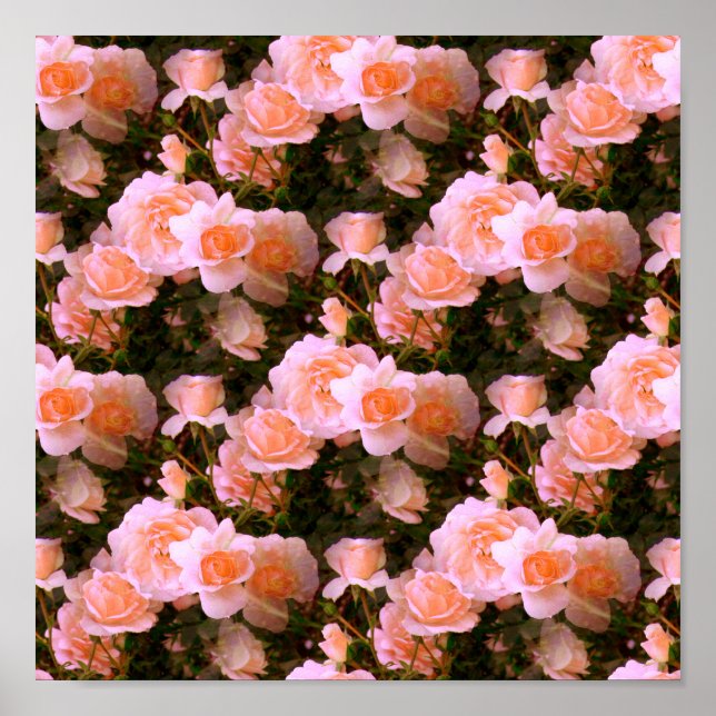 Der Frühling... Poster (Vorne)