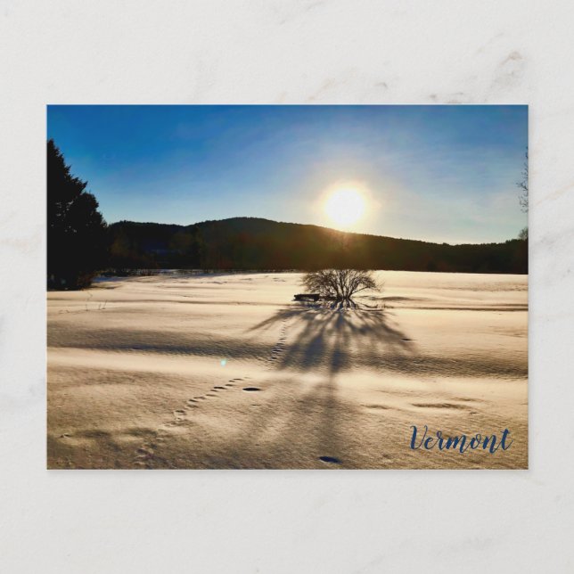 Der Frühling scheint lange weg zu sein Postkarte (Vorderseite)