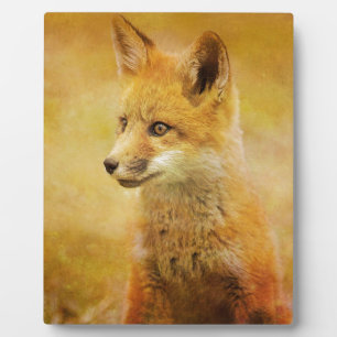 Der Fuchs im Wald Fotoplatte