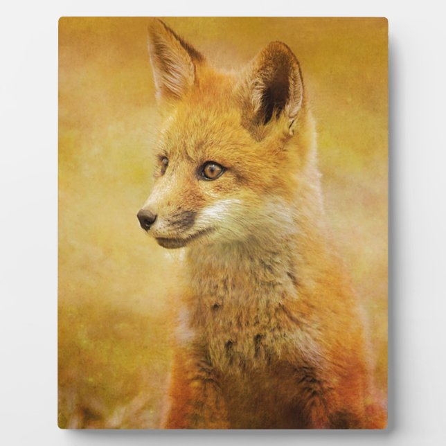 Der Fuchs im Wald Fotoplatte (Vorderseite)