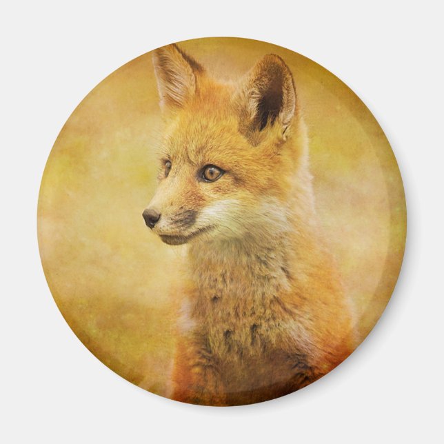 Der Fuchs im Wald Magnet (Vorne)