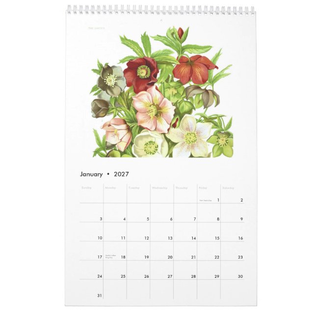Der Garten 2015 Kalender (Jan 2027)