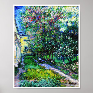 Der Garten am Asyl in Saint-Rémy, Van Gogh Poster