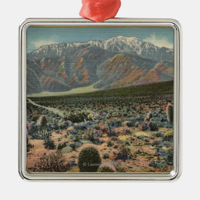 Der Garten-Ansicht des Teufels von Mt. San Jacinto Ornament Aus Metall (Vorne)