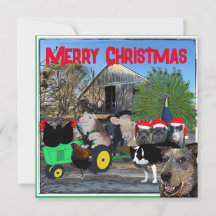 Der Garten der Küche