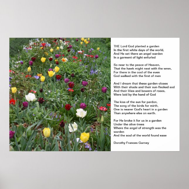 Der Garten Gottes Poster (Vorne)