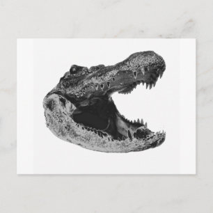 DER GATORS MAKe Postkarte