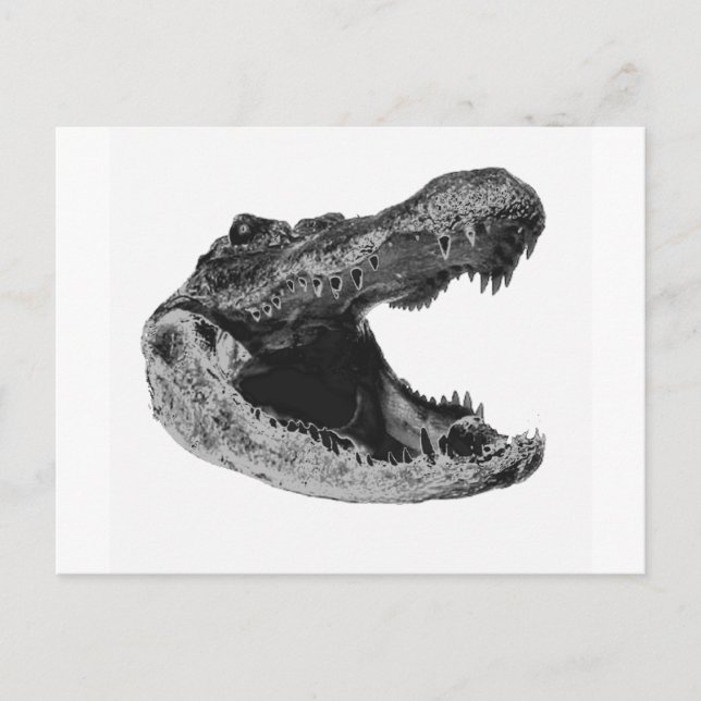 DER GATORS MAKe Postkarte (Vorderseite)