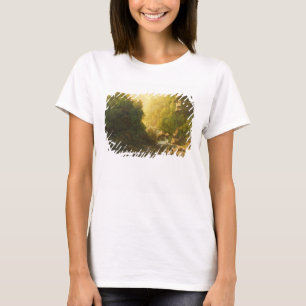 Der Gebirgsstrom, c.1820-30 (Öl auf Leinwand) T-Shirt
