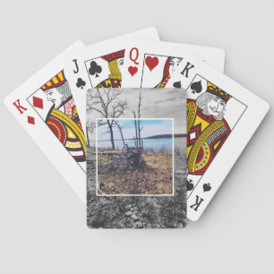 Der gefallene Baum spielt Karten Spielkarten