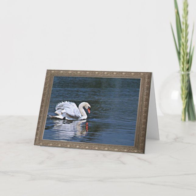 der gekräuselte Schwan versieht 1 notecard mit Karte (Vorderseite)
